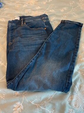 Lane Bryant Deep Blue Skinny Jeans/Leggings